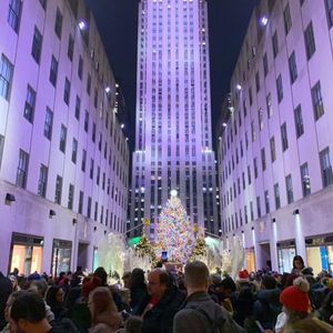 Meet your Posher, Joey